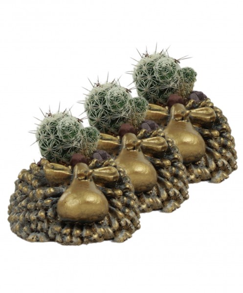 Mini Çiçek Saksı Küçük Sukulent Altın Eskitme Kaktüs Saksısı 3lü Set Koyun Model