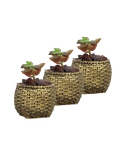 Mini Çiçek Saksı Küçük Sukulent Altın Eskitme Kaktüs Saksısı 3'lü Set Sepet Örgü Model