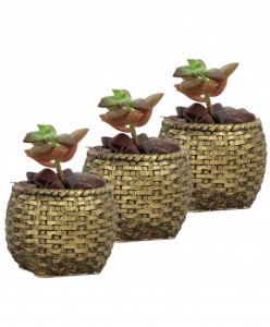 Mini Çiçek Saksı Küçük Sukulent Altın Eskitme Kaktüs Saksısı 3'lü Set Sepet Örgü Model