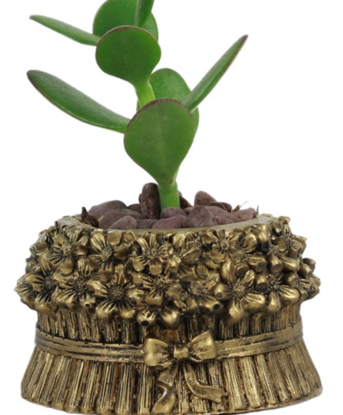 Mini Çiçek Saksı Küçük Sukulent Altın Eskitme Kaktüs Saksısı Çiçekli Fiyonklu Model