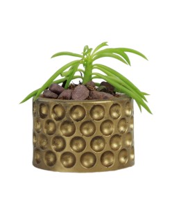 Mini Çiçek Saksı Küçük Sukulent Altın Eskitme Kaktüs Saksısı Puantiyeli Model