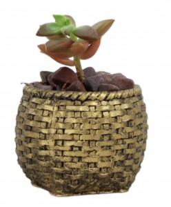 Mini Çiçek Saksı Küçük Sukulent Altın Eskitme Kaktüs Saksısı Sepet Örgü Saksı Model