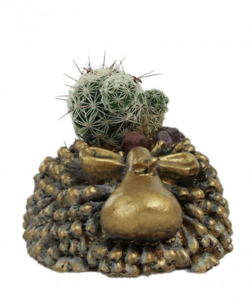 Mini Çiçek Saksı Küçük Sukulent Altın Eskitme Kaktüs Saksısı Sevimli Koyun Model