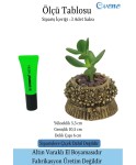 Mini Çiçek Saksı Küçük Sukulent Altın Eskitme Kaktüs Saksısı 3lü Set Çiçekli Fiyonklu Model