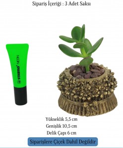 Mini Çiçek Saksı Küçük Sukulent Altın Eskitme Kaktüs Saksısı 3'lü Set Çiçekli Fiyonklu Model