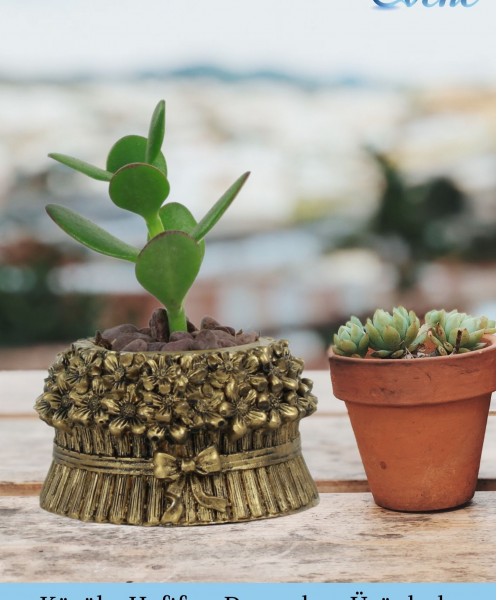 Mini Çiçek Saksı Küçük Sukulent Altın Eskitme Kaktüs Saksısı 3lü Set Çiçekli Fiyonklu Model