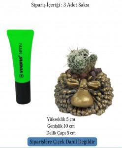 Mini Çiçek Saksı Küçük Sukulent Altın Eskitme Kaktüs Saksısı 3'lü Set Koyun Model