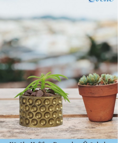 Mini Çiçek Saksı Küçük Sukulent Altın Eskitme Kaktüs Saksısı 3lü Set Puantiyeli Model