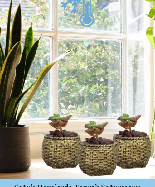 Mini Çiçek Saksı Küçük Sukulent Altın Eskitme Kaktüs Saksısı 3lü Set Sepet Örgü Model