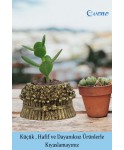 Mini Çiçek Saksı Küçük Sukulent Altın Eskitme Kaktüs Saksısı Çiçekli Fiyonklu Model