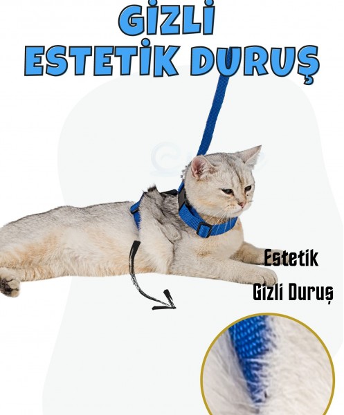 Mavi Kedi Tasması Boyun Göğüs Ayarlanabilir Sevk Kayışlı Gezdirme Seti