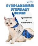 Mavi Kedi Tasması Boyun Göğüs Ayarlanabilir Sevk Kayışlı Gezdirme Seti