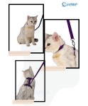 Mor Kedi Tasması Boyun Göğüs Ayarlanabilir Sevk Kayışlı Gezdirme Seti Tasması