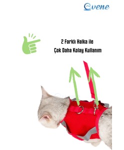 Kedi Tasması Göğüs Boyun Tasma Seti Sevk Kayışlı Terletmeyen Nefes Alan Reflektörlü Tasma M Kırmızı