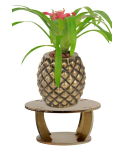Ahşap Ayaklı Beton Saksı Büyük Boy 1 Adet Altın Varak Boyalı Eskitmeli Ananas Model