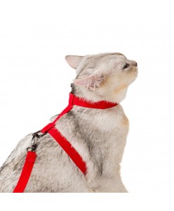 Kaçış Önleyici Bedenli Pembe Kedi Köpek Tasması